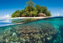 Du lịch đảo Sipadan – chinh phục hòn đảo đẹp nhất Malaysia Du lịch đảo Sipadan - chinh phục hòn đảo đẹp nhất Malaysia